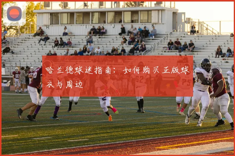 哈兰德球迷指南：如何购买正版球衣与周边